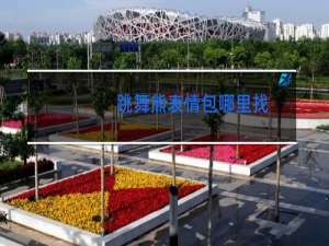 跳舞熊表情包哪里找