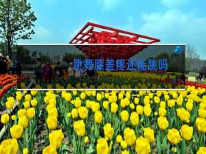 跳舞膝盖疼还能跳吗