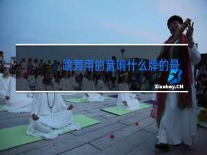 跳舞用的音响什么牌的最好