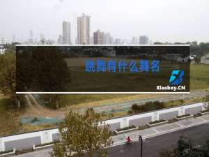 跳舞有什么舞名