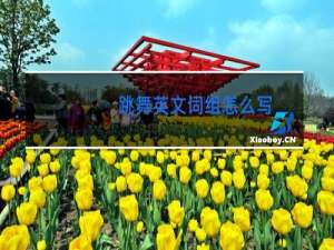 跳舞英文词组怎么写