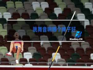 跳舞音响哪个牌子好