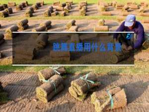 跳舞直播用什么背景