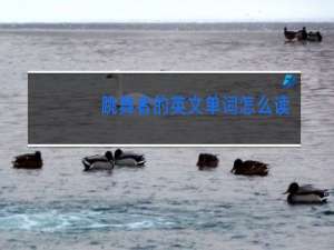 跳舞者的英文单词怎么读