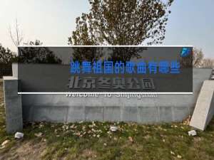 跳舞祖国的歌曲有哪些