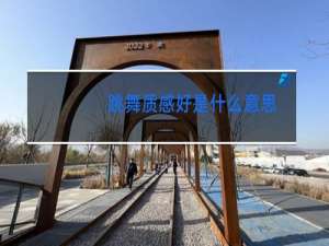 跳舞质感好是什么意思