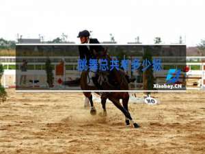 跳舞总共考多少级