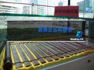 跳舞怎么有感情