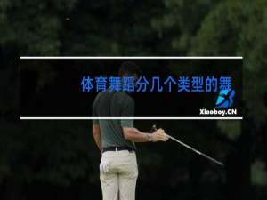 体育舞蹈分几个类型的舞蹈