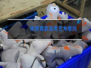 体育舞蹈高考艺考难吗