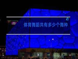 体育舞蹈共有多少个舞种