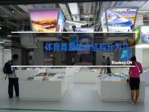 体育舞蹈技术结构分为几类