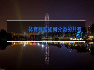 体育舞蹈如何分类的共有哪几种舞组成分别是