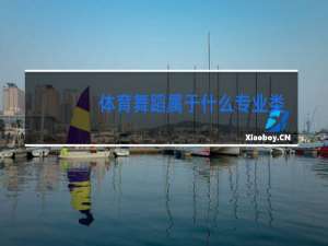 体育舞蹈属于什么专业类别