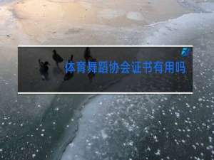 体育舞蹈协会证书有用吗
