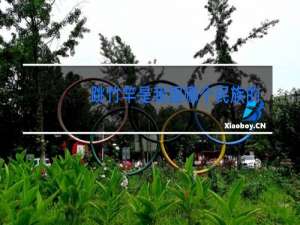 跳竹竿是我国哪个民族的舞蹈