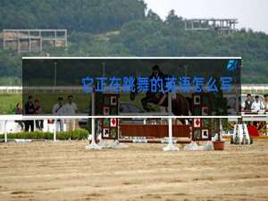 它正在跳舞的英语怎么写