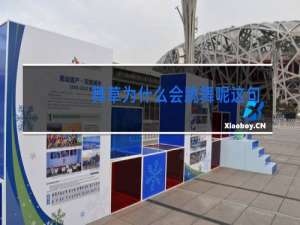 舞草为什么会跳舞呢这句话在文中的作用是()