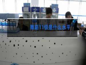 舞蹈11级是什么水平