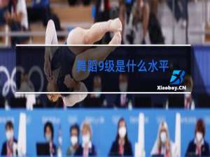 舞蹈9级是什么水平