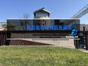 舞蹈编导和舞蹈表演哪个好