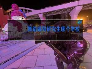 舞蹈编导研究生哪个学校好
