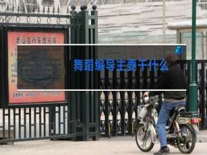 舞蹈编导主要干什么