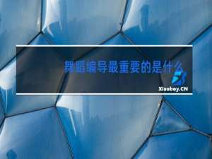 舞蹈编导最重要的是什么