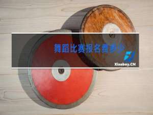 舞蹈比赛报名费多少