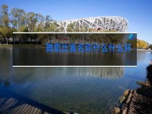 舞蹈比赛名称什么什么杯