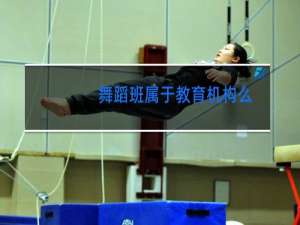 舞蹈班属于教育机构么
