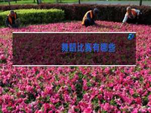 舞蹈比赛有哪些