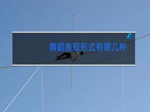 舞蹈表现形式有哪几种