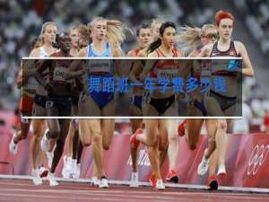 舞蹈班一年学费多少钱