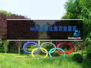 wdc街舞比赛含金量高吗
