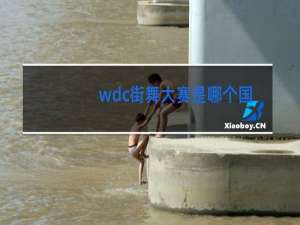 wdc街舞大赛是哪个国家的