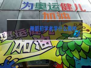 舞蹈初学者学什么舞种