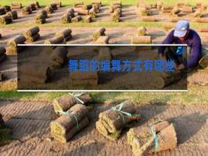 舞蹈的编舞方式有哪些