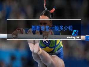 舞蹈地垫一般多少钱