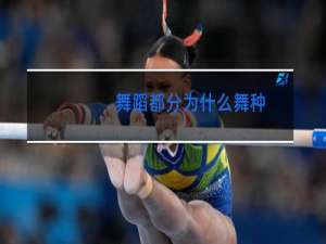 舞蹈都分为什么舞种