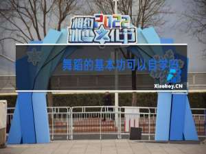 舞蹈的基本功可以自学吗