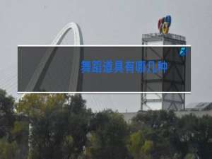 舞蹈道具有哪几种