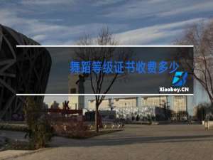 舞蹈等级证书收费多少