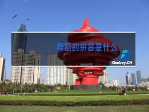 舞蹈的拼音是什么