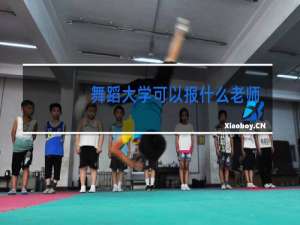 舞蹈大学可以报什么老师