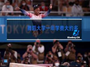 舞蹈大学一年学费大约多少