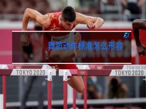 舞蹈动作标准怎么形容