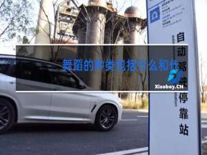 舞蹈的种类包括什么和什么