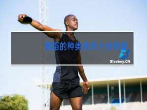 舞蹈的种类有多少分别是什么