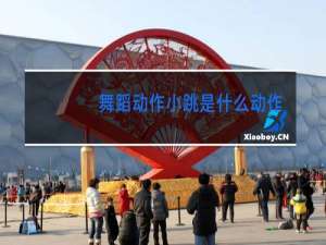 舞蹈动作小跳是什么动作